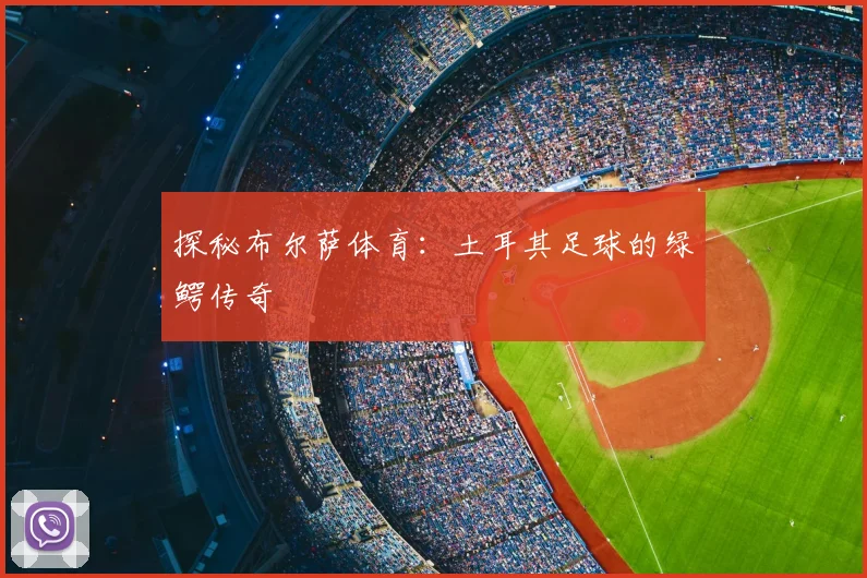 探秘布尔萨体育：土耳其足球的绿鳄传奇