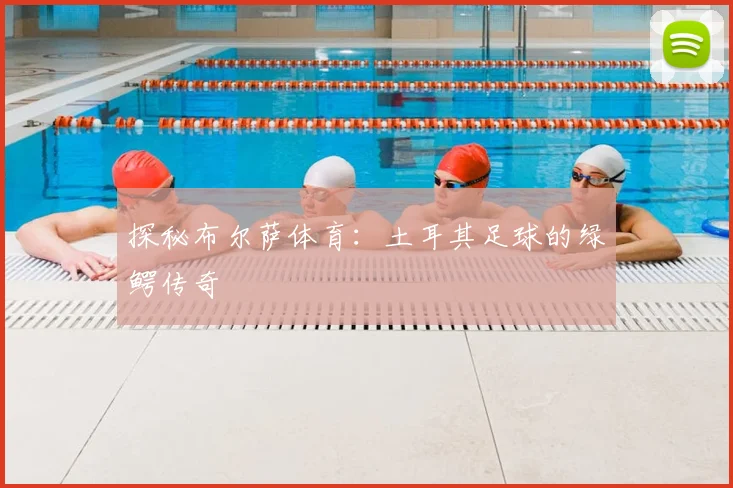 探秘布尔萨体育：土耳其足球的绿鳄传奇
